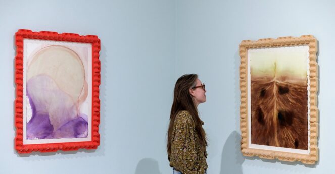 Collectieconservator